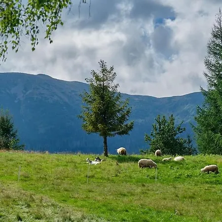 Villa Goralski Dom Pod Babia Gora